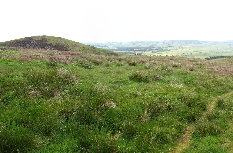 cheviot_humbleton hill.jpg - De Cheviot hills.